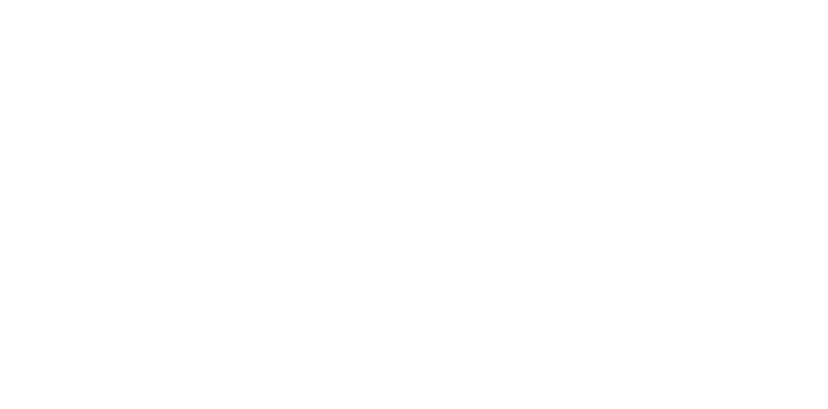 Cargo Sales International